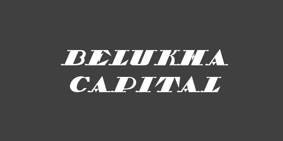 Fonte Belukha Capital