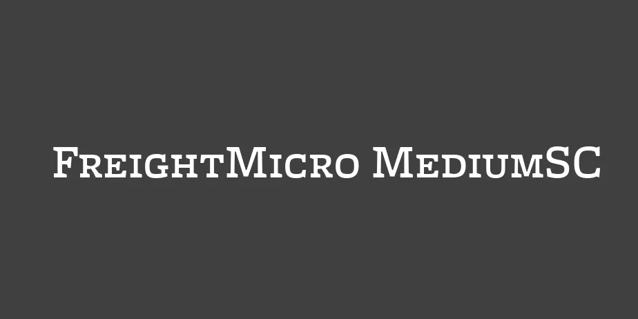 Fonte FreightMicro MediumSC