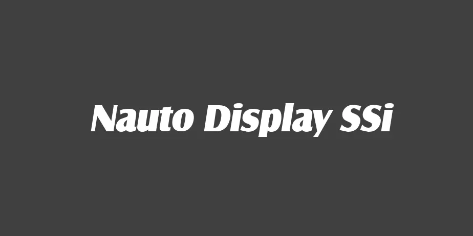 Fonte Nauto Display SSi