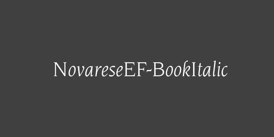 Fonte NovareseEF-BookItalic