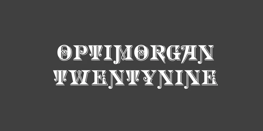 Fonte OPTIMorgan TwentyNine