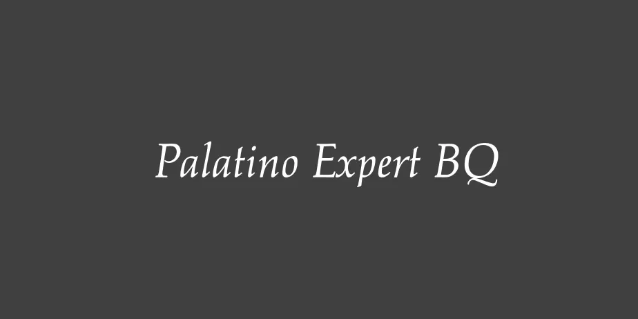 Fonte Palatino Expert BQ