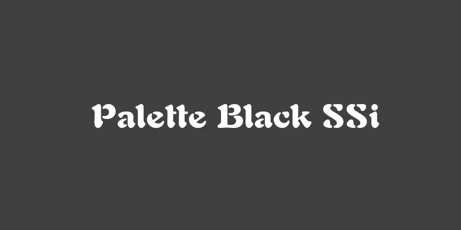 Fonte Palette Black SSi