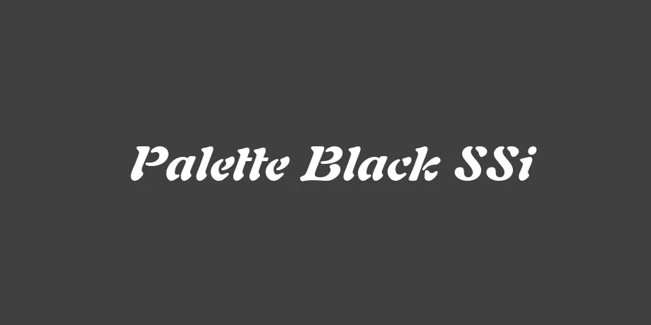 Fonte Palette Black SSi