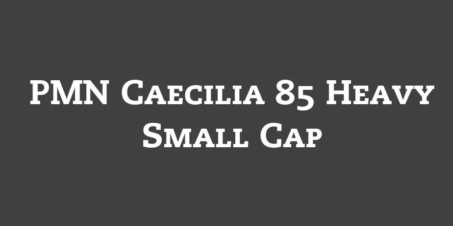 Fonte PMN Caecilia 85 Heavy Small Cap