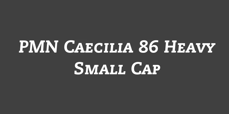 Fonte PMN Caecilia 86 Heavy Small Cap