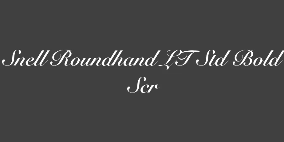 Fonte Snell Roundhand LT Std Bold Scr