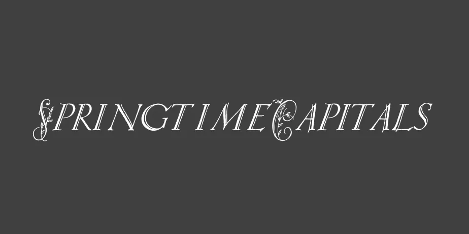 Fonte SpringtimeCapitals