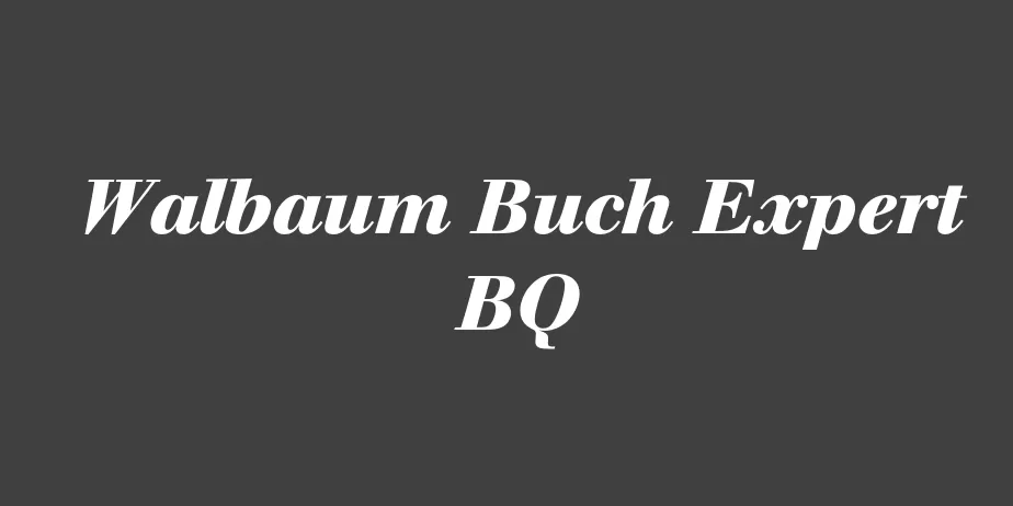 Fonte Walbaum Buch Expert BQ