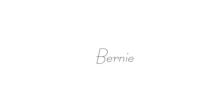 Fonte Bernie