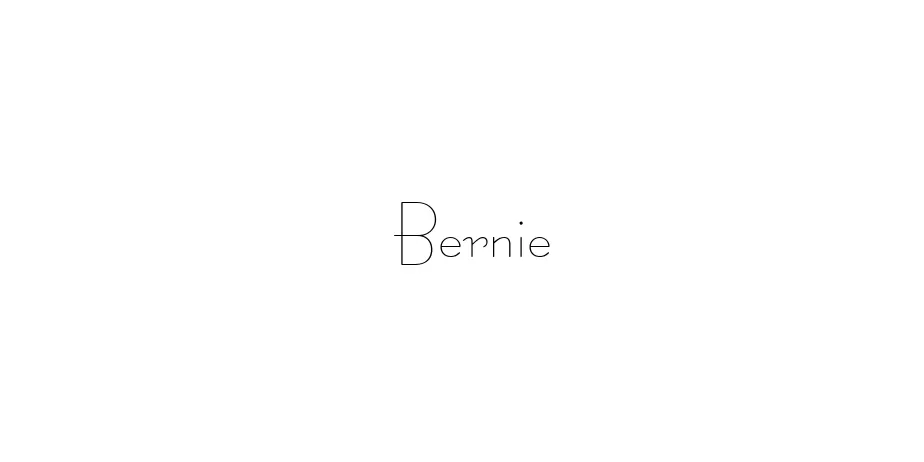 Fonte Bernie