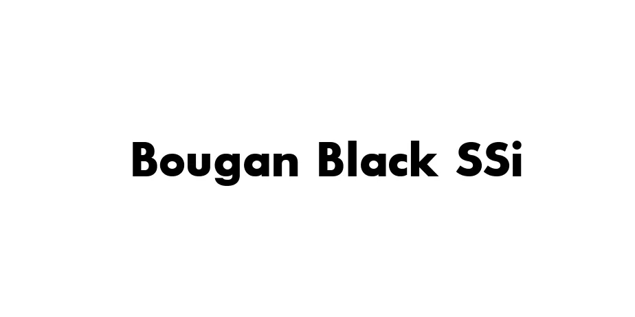 Fonte Bougan Black SSi