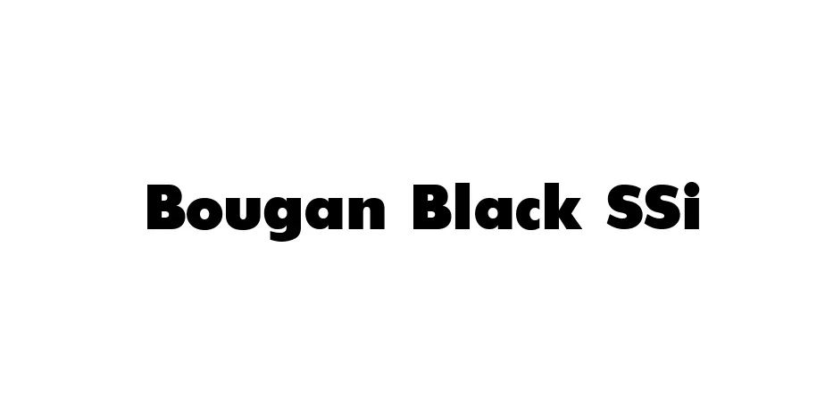 Fonte Bougan Black SSi