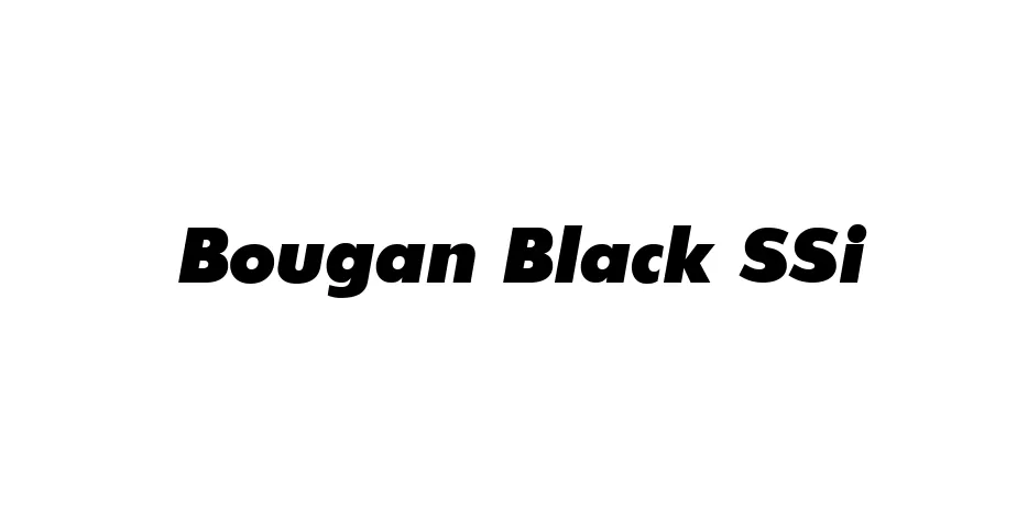 Fonte Bougan Black SSi