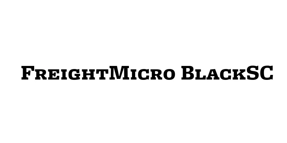 Fonte FreightMicro BlackSC