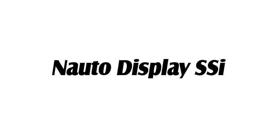 Fonte Nauto Display SSi