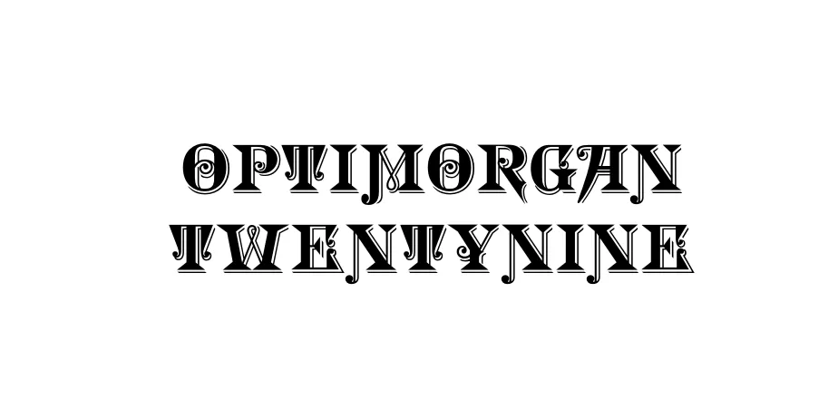 Fonte OPTIMorgan TwentyNine