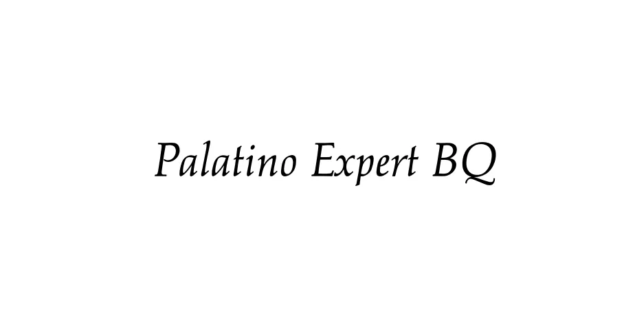 Fonte Palatino Expert BQ