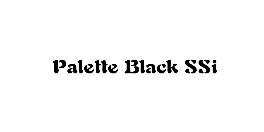 Fonte Palette Black SSi