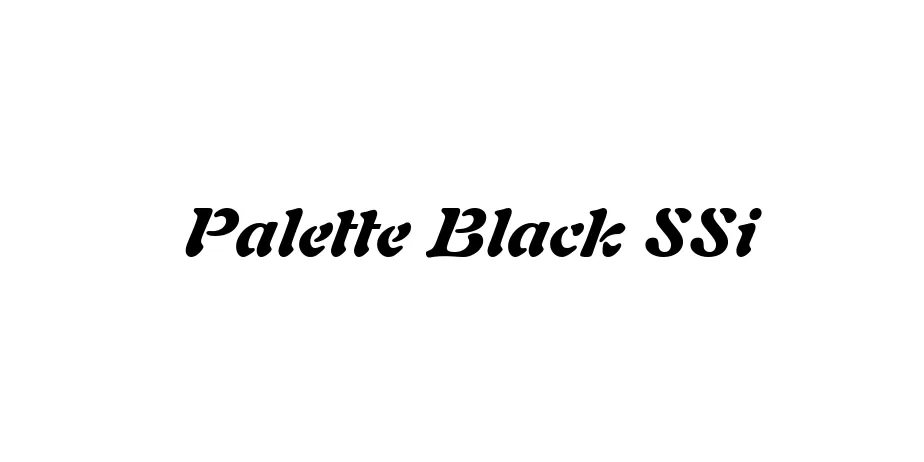 Fonte Palette Black SSi