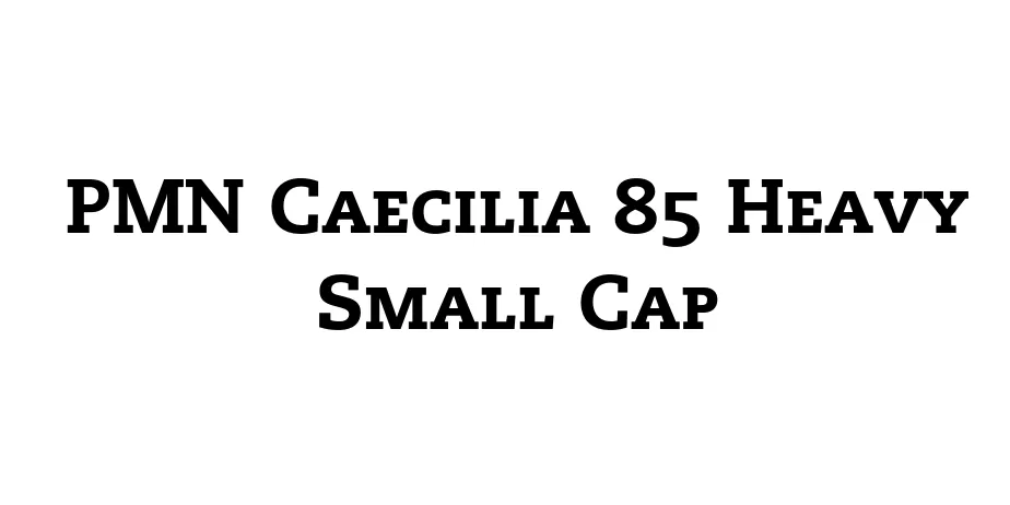 Fonte PMN Caecilia 85 Heavy Small Cap