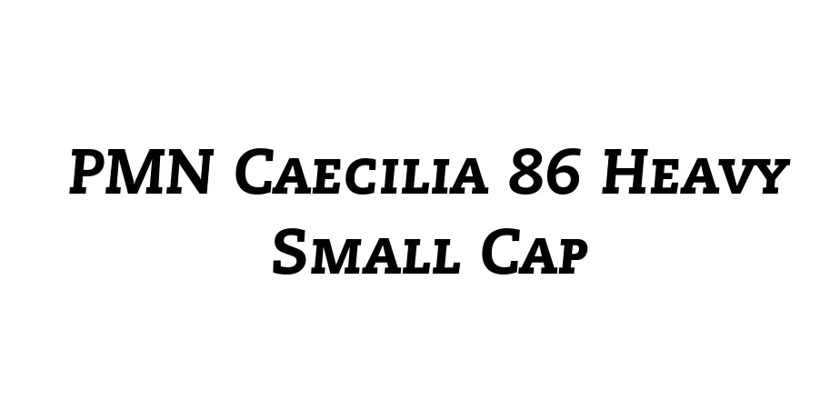 Fonte PMN Caecilia 86 Heavy Small Cap