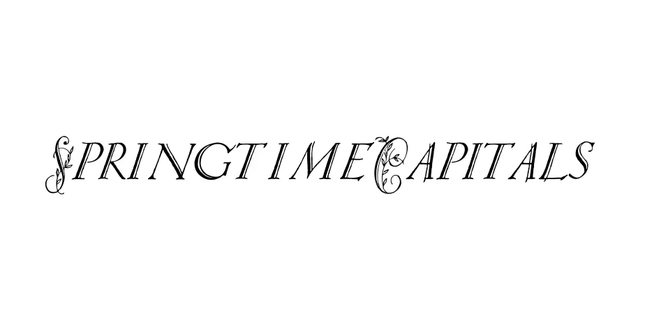 Fonte SpringtimeCapitals