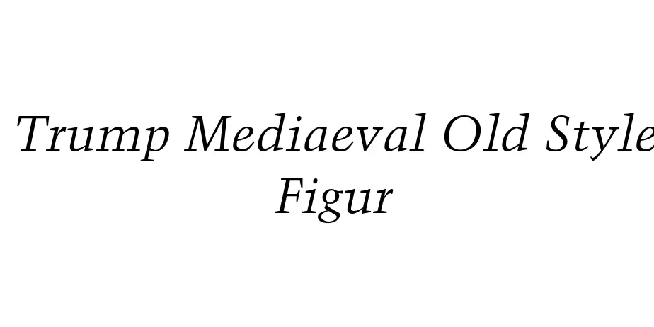 Fonte Trump Mediaeval Old Style Figur