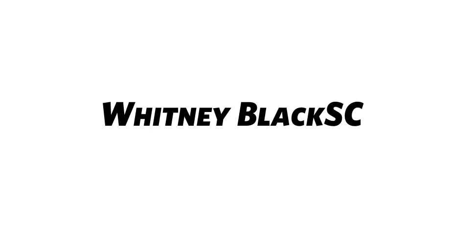 Fonte Whitney BlackSC