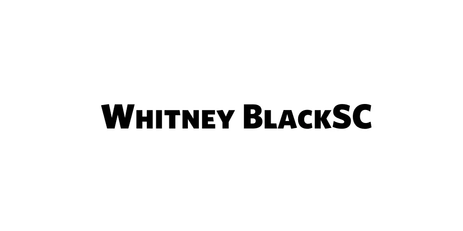 Fonte Whitney BlackSC