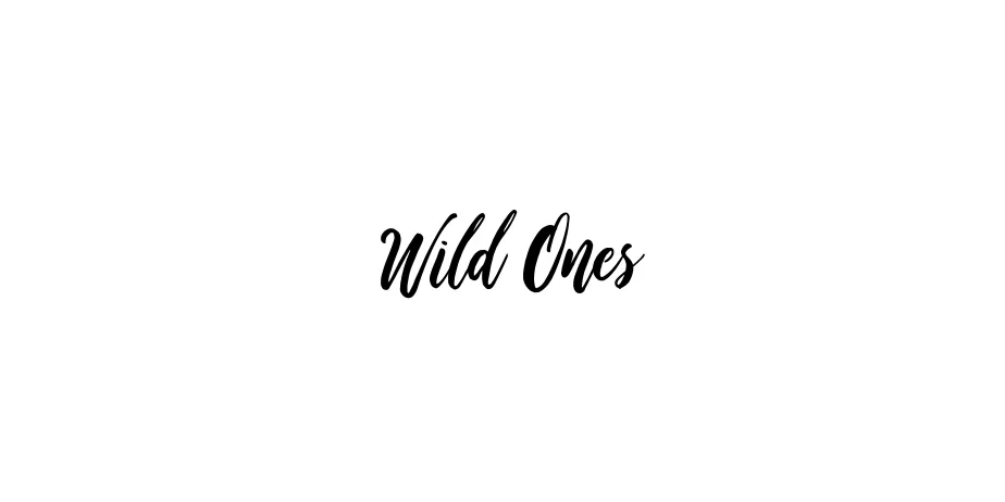 Fonte Wild Ones