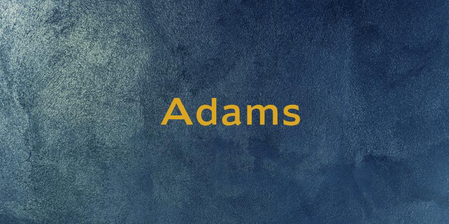 Fonte Adams