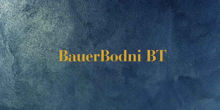 Fonte BauerBodni BT