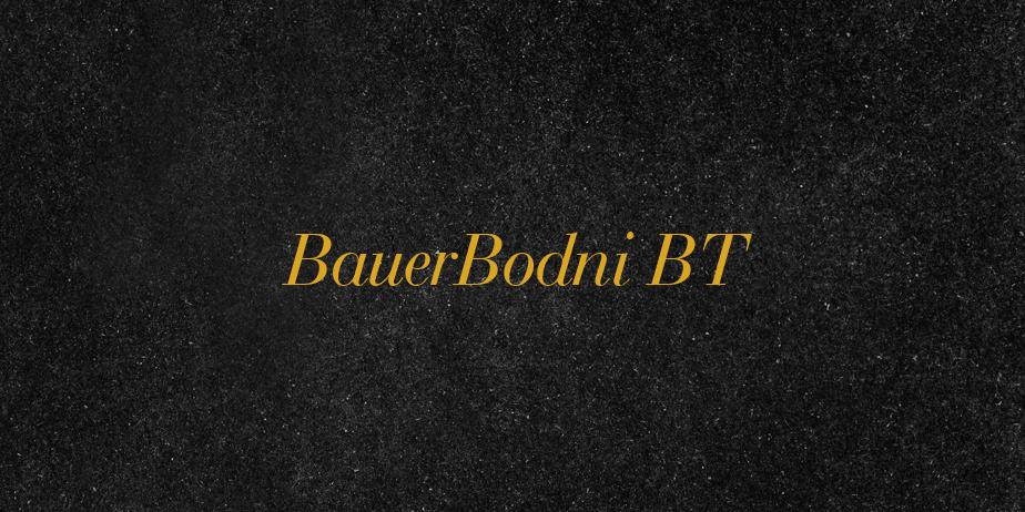 Fonte BauerBodni BT