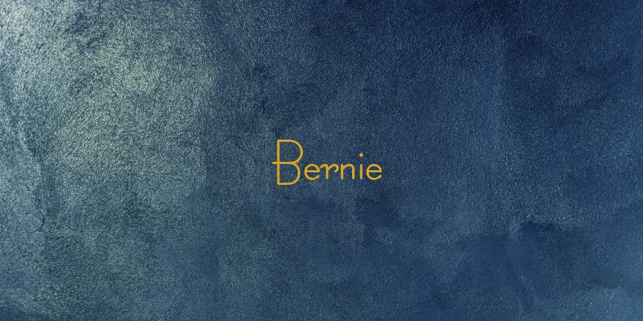 Fonte Bernie