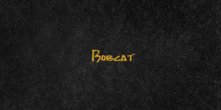 Fonte Bobcat