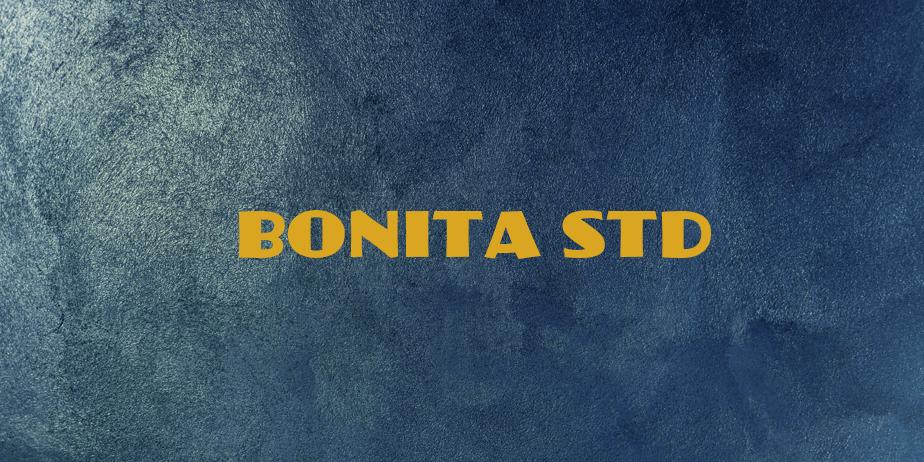 Fonte Bonita Std