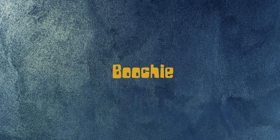 Fonte Boochie