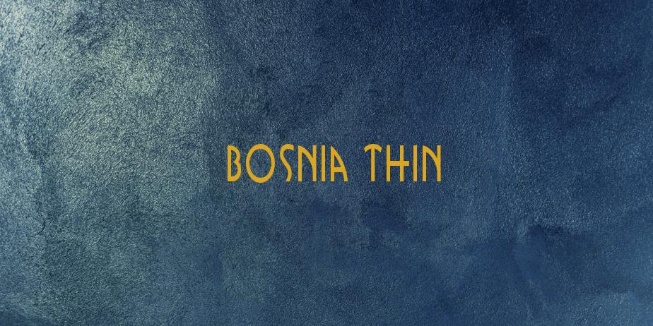 Fonte Bosnia Thin