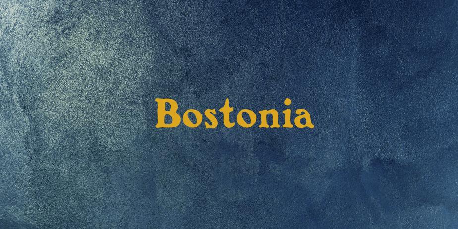 Fonte Bostonia