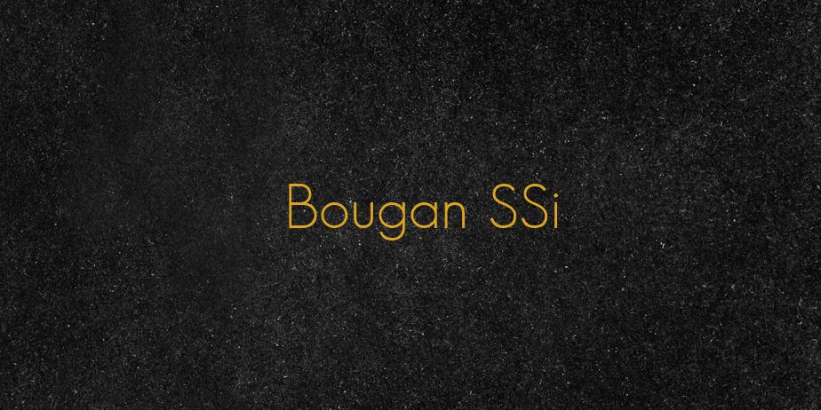 Fonte Bougan SSi