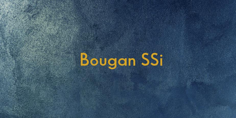 Fonte Bougan SSi