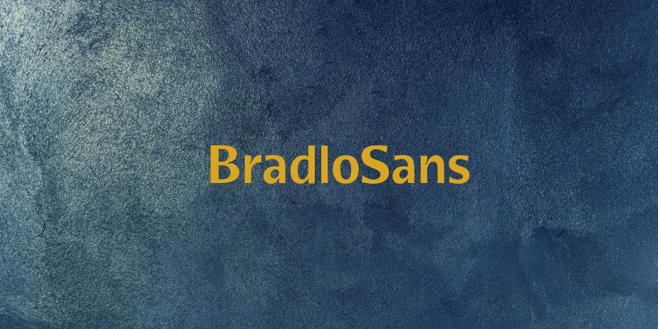 Fonte BradloSans