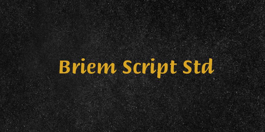 Fonte Briem Script Std