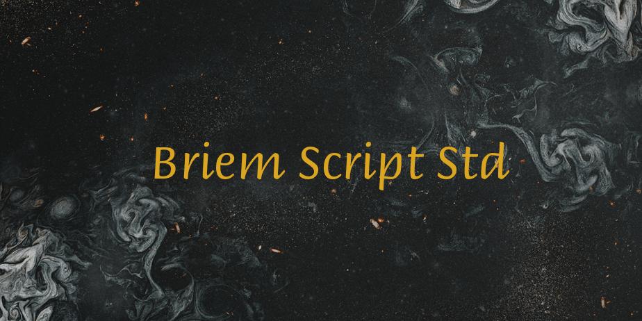 Fonte Briem Script Std