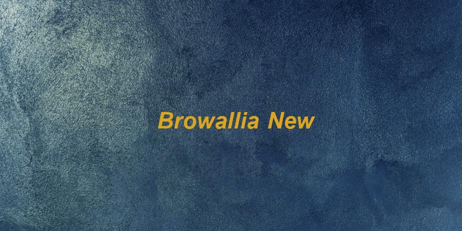 Fonte Browallia New