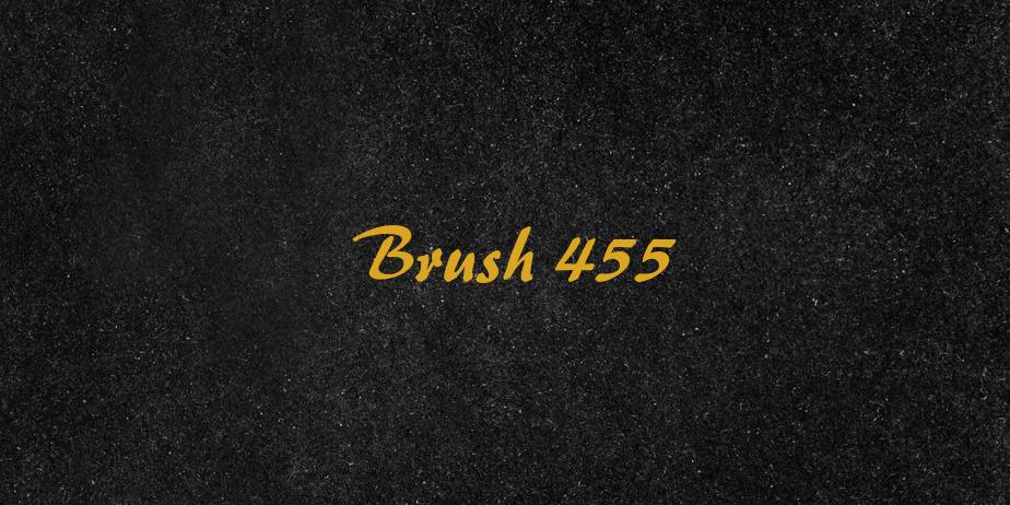 Fonte Brush 455