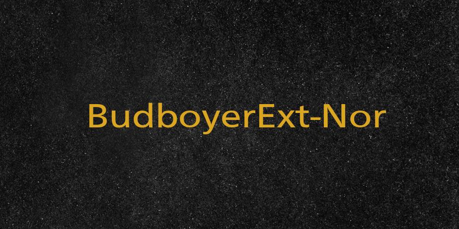 Fonte BudboyerExt-Nor