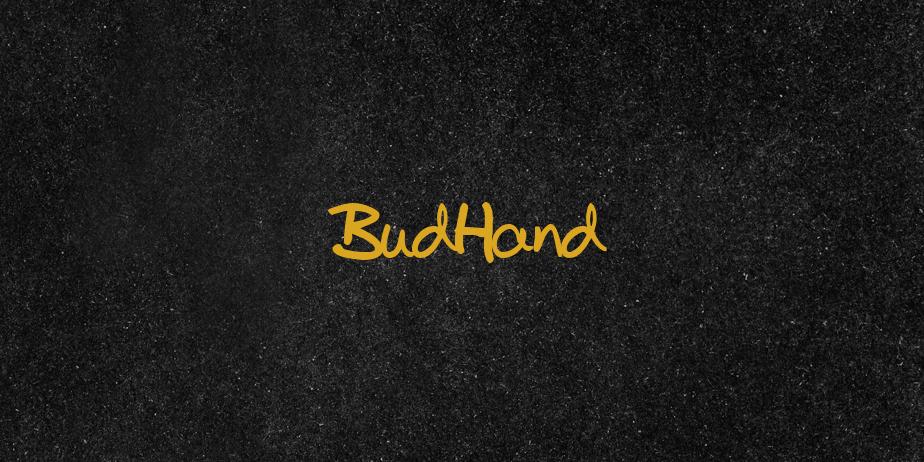 Fonte BudHand