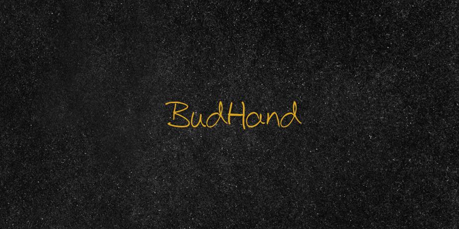 Fonte BudHand